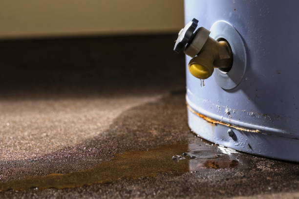 Best Water damage restoration process  in Sandy Springs, GA