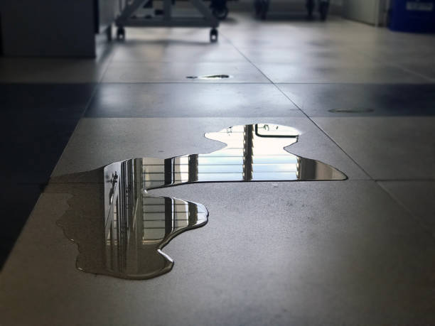 Best Local water damage restoration  in Sandy Springs, GA