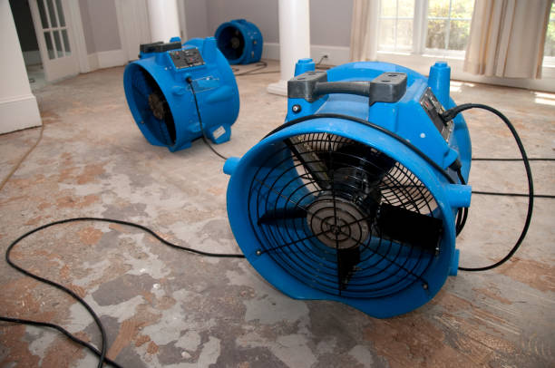 Best Flood restoration services  in Sandy Springs, GA