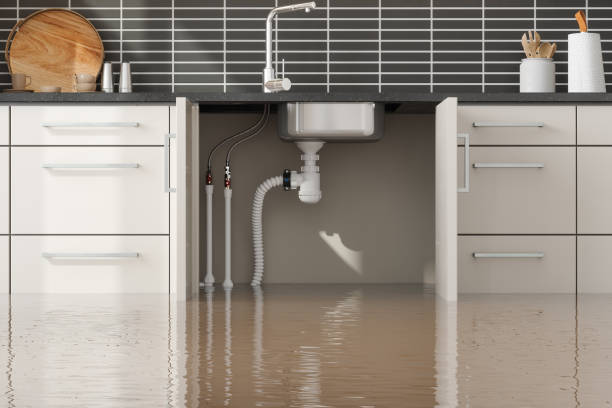 Best Flood damage cleanup  in Sandy Springs, GA