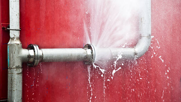 Best Carpet water damage restoration  in Sandy Springs, GA