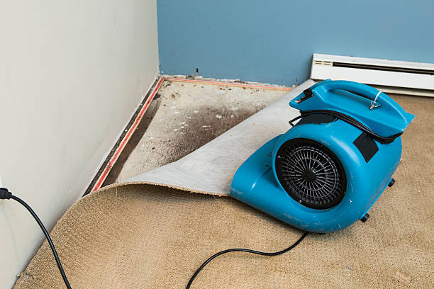 Best Ceiling water damage repair  in Sandy Springs, GA